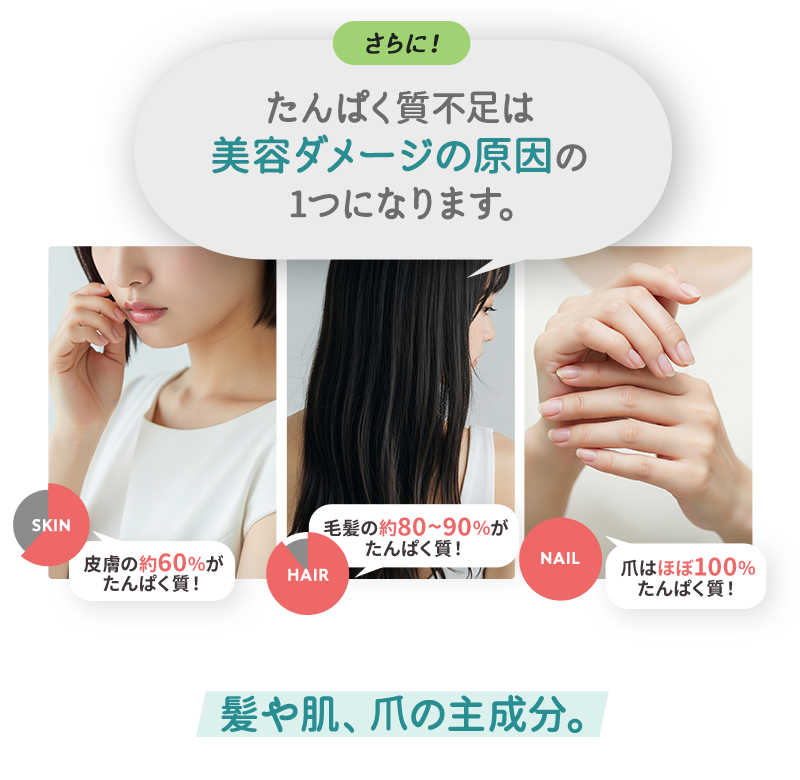 たんぱく質不足は美容ダメージの原因の1つになります。